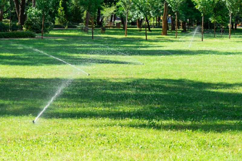 Watering System Installation Service