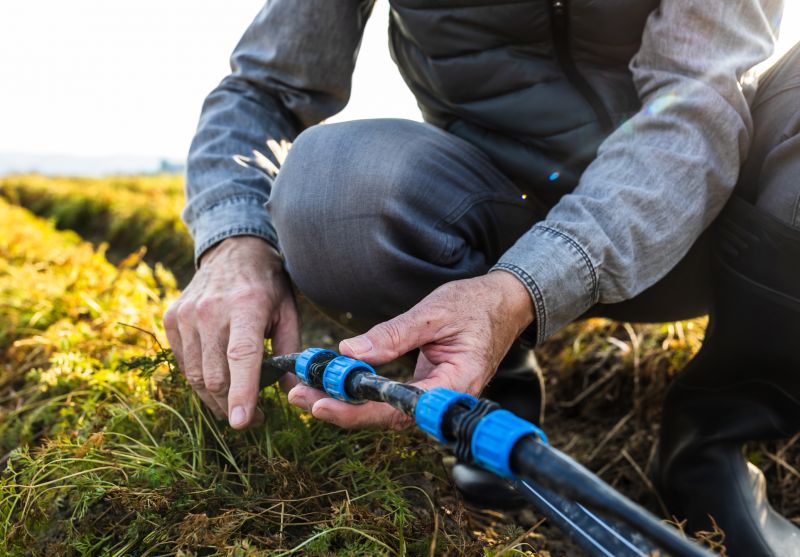 Irrigation System Installation